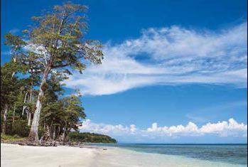 Andaman Tour Package From Cochin